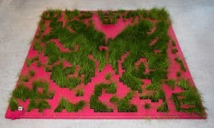 Sabine Schäfer/Ulrich Singer: GREENCODE, temporary garden with Audio QR-Code, Gallery GEDOK Karlsruhe, 13.01.-11.02.2018, Exhibition “Why Knot?”, Photo: Reinhard E. Vollmer