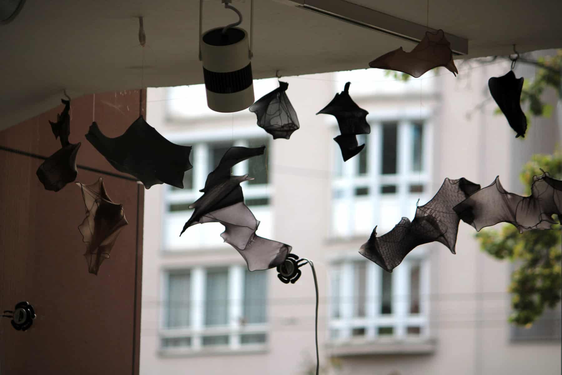 Sabine Schäfer/Rosemarie Vollmer, Bats ´n´ Insects, audiovisuelle Installation, Galerie GEDOK Karlsruhe, 11.09.-10.10.2021, Foto: Anne Kup