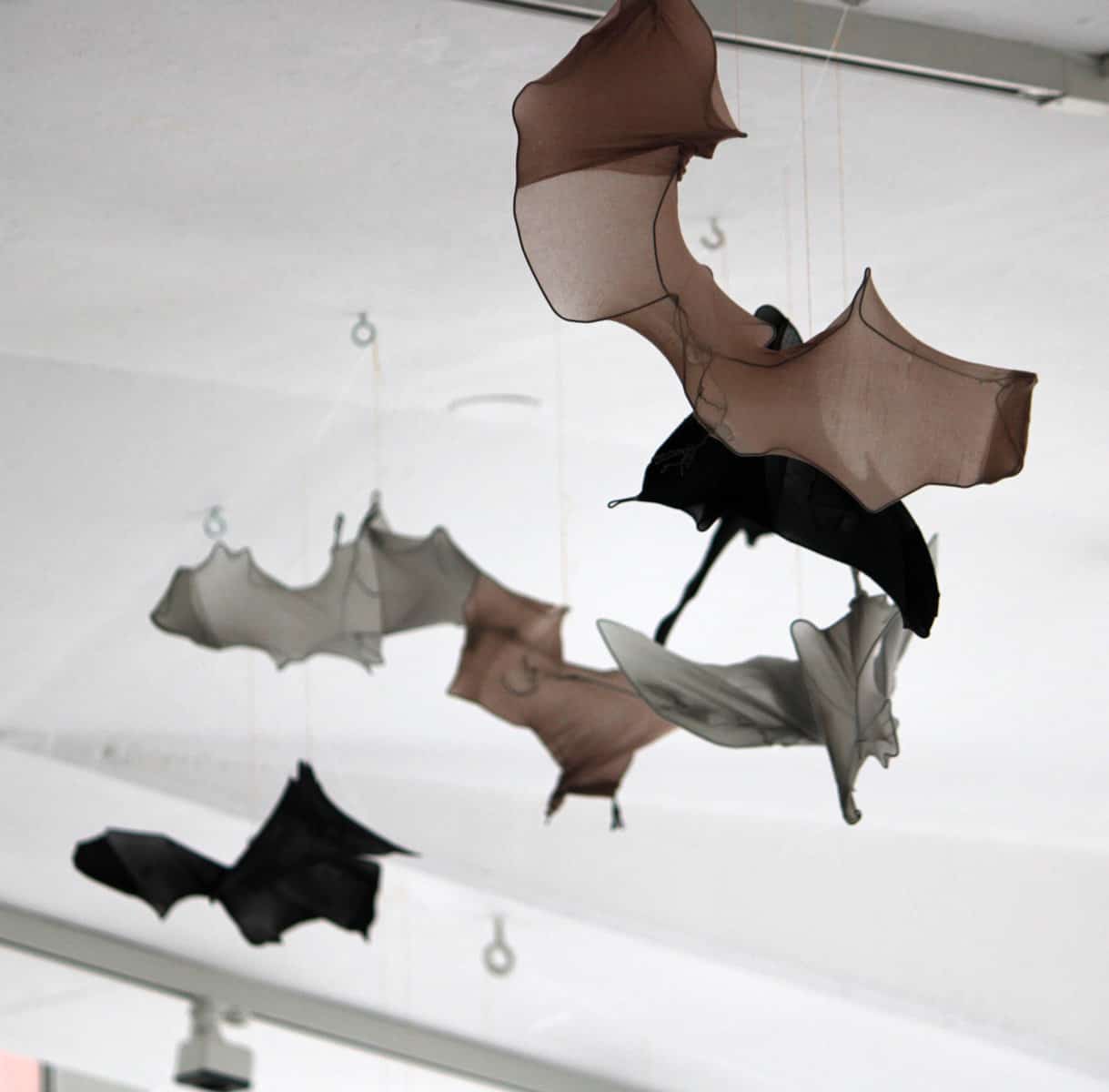Sabine Schäfer/Rosemarie Vollmer, Bats ´n´ Insects, audiovisuelle Installation, Galerie GEDOK Karlsruhe, 11.09.-10.10.2021, Foto: Anne Kup