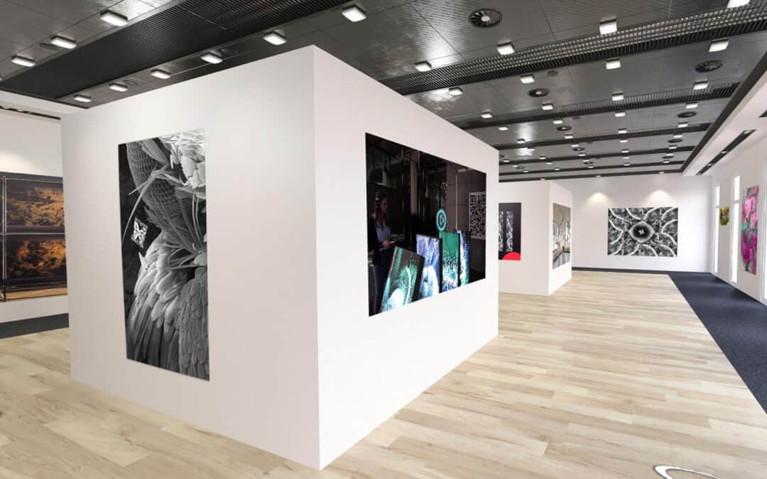 Online Gallery – Artworks Sabine Schäfer Interactive Graphics and Installations