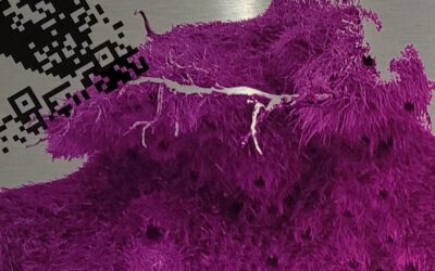 Bonn.  frauenmuseum  18.01.-10.05.2026